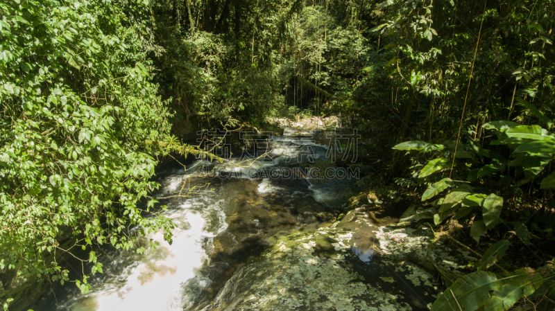 waterfall with 125 meters of height of water fall in Brazil in Santa Catarina Corupa. Route with 14 waterfalls in one of the last areas of Atlantic forest. Corupa means area of ​​many stones. The Rio Novo is born in the fields of the plateau and plunges t