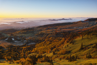 湿地,秋天,风景,早晨,泗务,山口,长野县,云景,云,日本落叶松