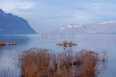 湖,法国,张伯伦,水平画幅,无人,蓝色,欧洲,鸟类,户外,摄影