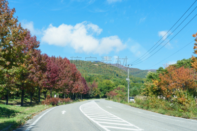 日本,秋天,叶子,福岛县,万代山,汽车,草,著名景点,自然美,枫叶