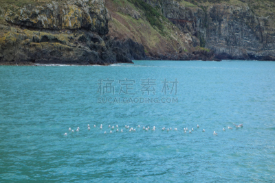 akaroa,都市风景,城镇,风景,图像,海洋,大洋洲,著名景点,新西兰,无人