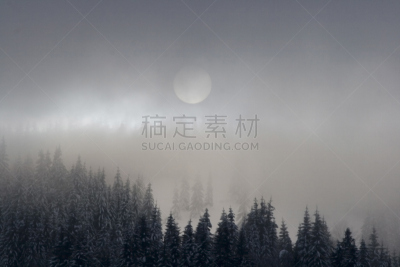 山脉,白色,壮丽冷杉,松树,寒冷,水平画幅,雪,无人,乌克兰,纯净