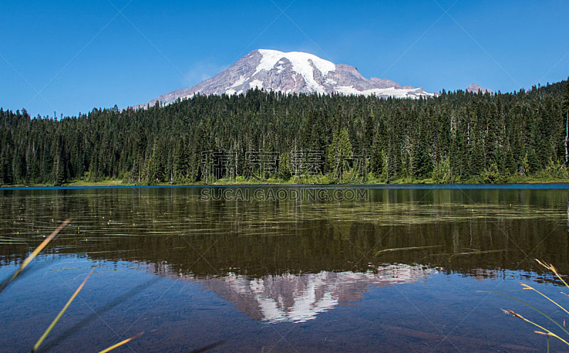 湖,水平画幅,雷尼尔雪山,华盛顿州,对称,西北,雪,公园,小路,松树