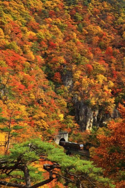 山谷,秋天,叶子,旅途,自然美,大崎市,河流,岩石,户外,天空