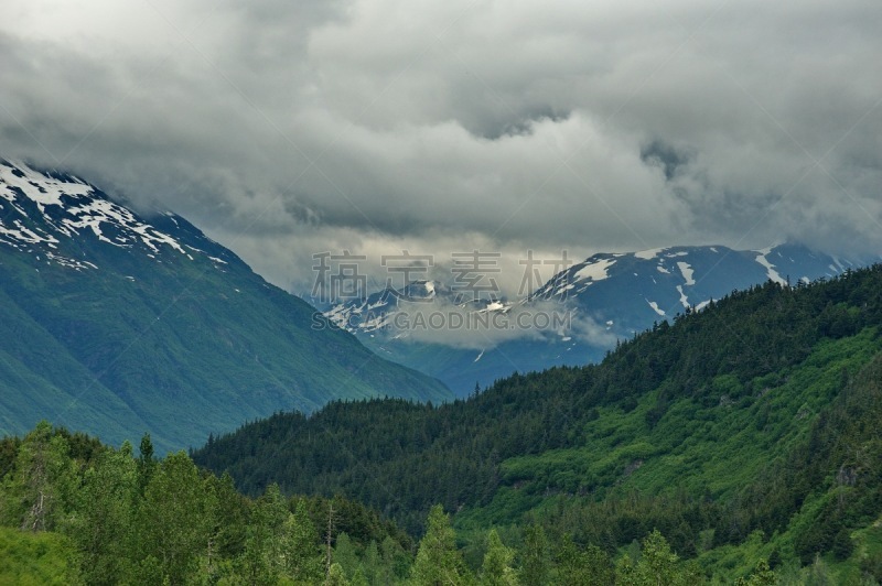 阿拉斯加,山脉,森林,雪,草,马塔努损卡谷地,湖,河流,夏天,户外