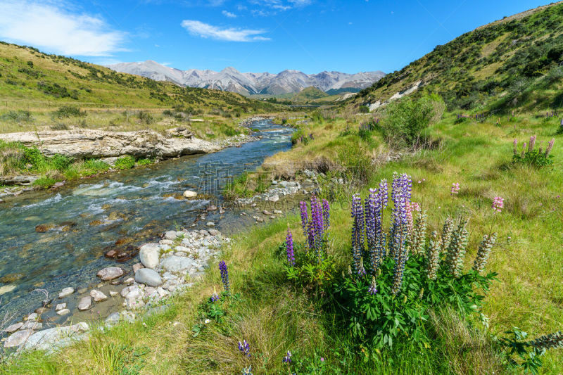 新西兰,野生动物保护区,arthurs pass,洞穴,小溪,风景,草,巨石,小路,羽扇豆