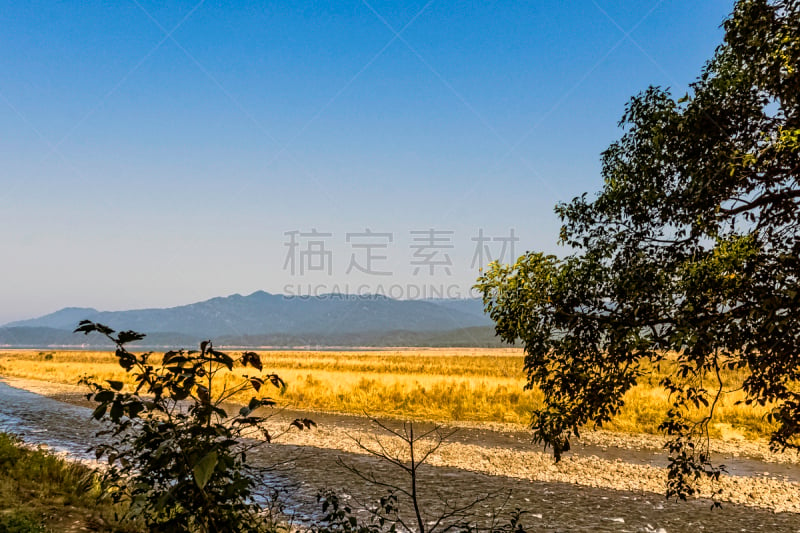 河流,印度,风景,科汐湾,环境,草,著名景点,湖,植物,岩石