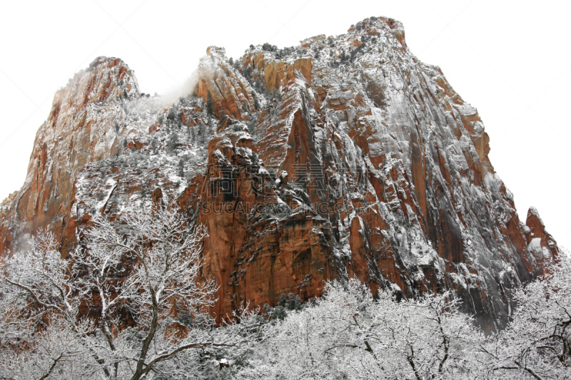 锡安国家公园,山,科罗拉多高原,自然,水平画幅,地形,岩石,雪,无人,冰