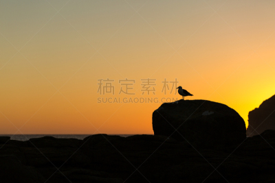 古玩湾,金色,水,水平画幅,无人,户外,卡特林斯,石头,海浪,海滩