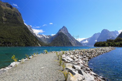 迈特峰,新西兰,岛,峡湾国家陆地,南,milford track,doubtful sound,米佛峡湾,自然,野生动物