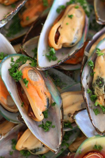 贝壳,贻贝,绿色,食品,蒸菜,煮食,焖河蚌,波斯湾,自然美,餐馆