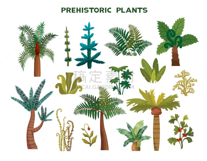 史前时代,植物群,侏罗纪,蕨类,背景分离,有月经,环境,已灭绝生物,风格,植物