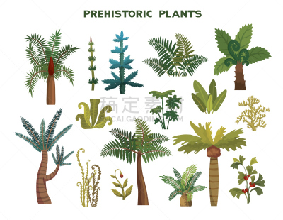史前时代,植物群,侏罗纪,蕨类,背景分离,有月经,环境,已灭绝生物,风格,植物