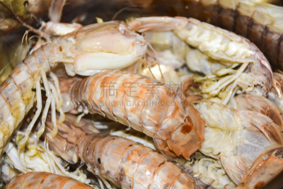 虾蛄,成分,大螯虾,沸腾的,牡蛎,水,水平画幅,膳食,海产