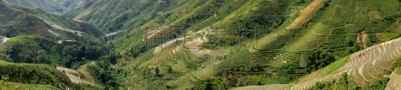 高处,越南,地形,梯田,居住区,有色人种,山脉,山罗省,计程车车站,飘然