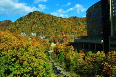 秋天,温泉,札幌,北海道,风景,黄色,红色,图像,叶子,足浴