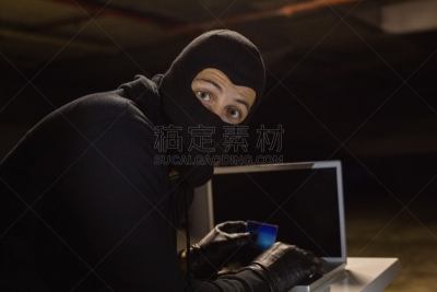笔记本电脑,注视镜头,夜贼,在家购物,30到39岁,水平画幅,入室行窃,电子商务,30岁到34岁,白人