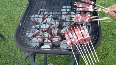 串肉签,烤肉架,格子烤肉,水平画幅,野餐,夏天,户外,羊羔,肉,烤串