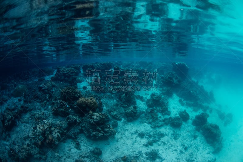 帕劳,水下,风景,超现实主义,岩岛,海洋酸化,密克罗尼西亚,生态多样性,全球变暖,礁石