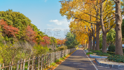 名古屋城,名古屋,小路,侧面视角,自然,水平画幅,秋天,无人,户外,叶子