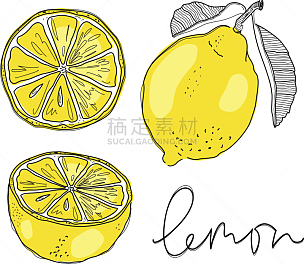 柠檬,绘画插图,矢量,动物手,素食节,钢笔画,素食,果汁,夏天,白色