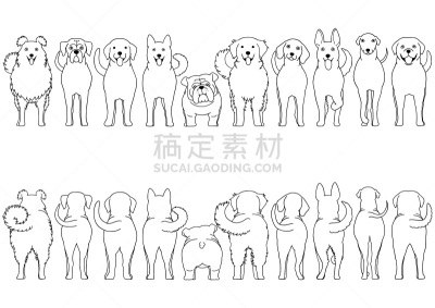 纯种犬,狗,线条画,国境线,背景分离,边框,灰猎犬,动物群,动物