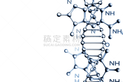 公式,脱氧核糖核酸,留白,生物科技,水平画幅,注视镜头,微生物学,科学,组物体,生物学