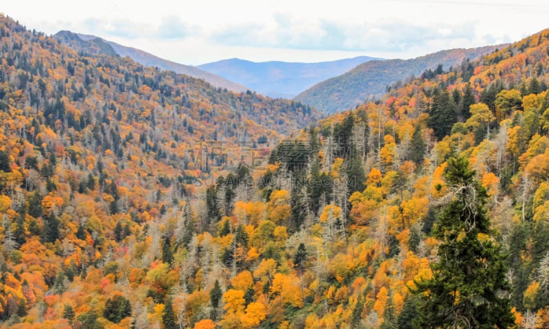 秋天,田纳西,活力,newfound gap,clingman's dome,格托林伯格,蓝色山脊山脉,大烟雾山脉,阿巴拉契亚山脉,美国东部