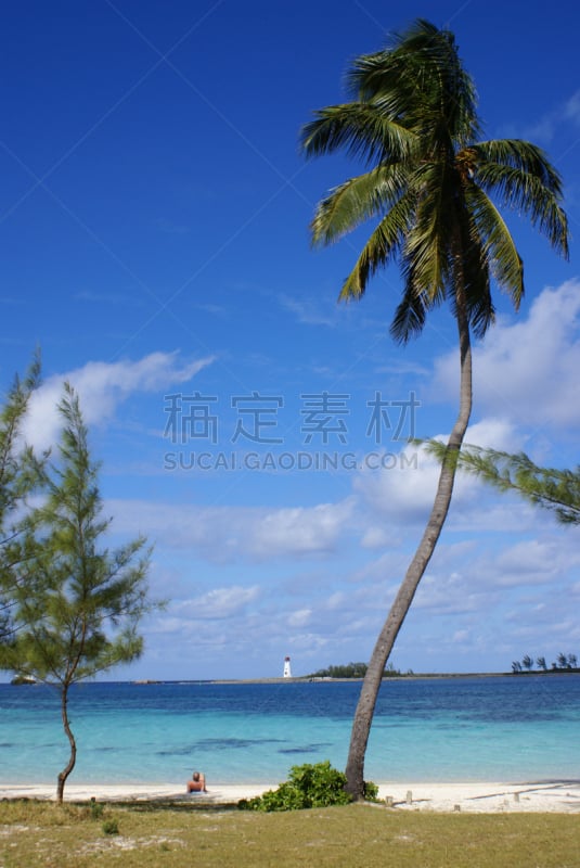 灯塔楼,棕榈树,前面,垂直画幅,夏天,户外,仅男人,仅成年人,巴哈马国,海滩