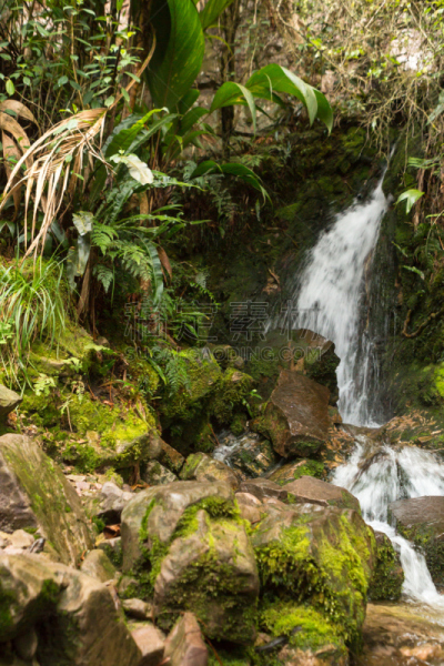 罗赖马山,罗赖马州,平顶山,平顶山区,canaima,委内瑞拉,垂直画幅,南美,无人,户外