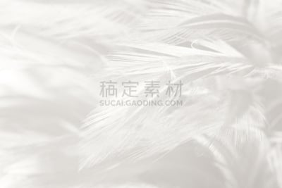 白色,灰色,纹理,背景,翎毛,自然美,动物身体部位,天鹅,时尚,水鸭