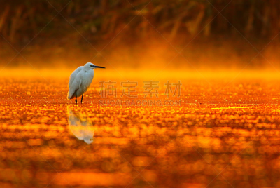水,天空,早晨,夏天,阳朔,海滩,黎明,光,兴平,乌云