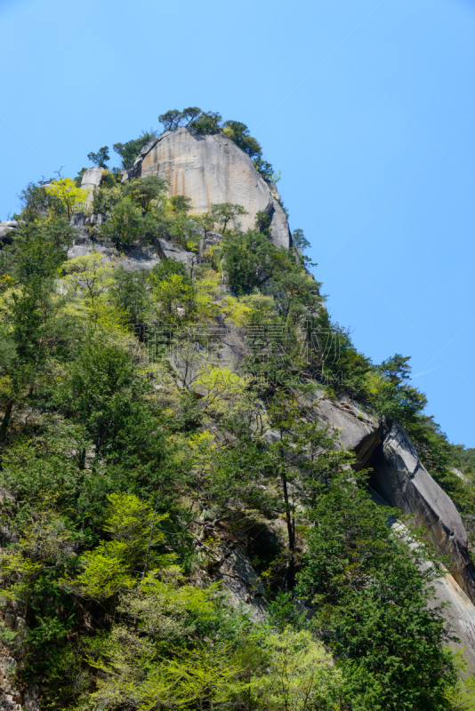 山梨县,清新,绿色,日本,升仙峡,甲府市,垂直画幅,美,洛矶山脉,里山