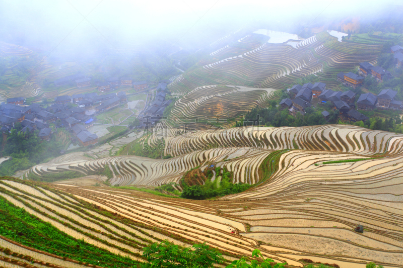 龙胜,桂林,稻田,中国,广西壮族自治区,龙脊梯田,美,水平画幅,高视角,无人