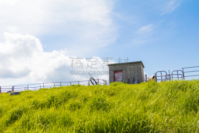 长野县,自然,地形,日本,美原,风景,一只动物,自然美,重要,布置