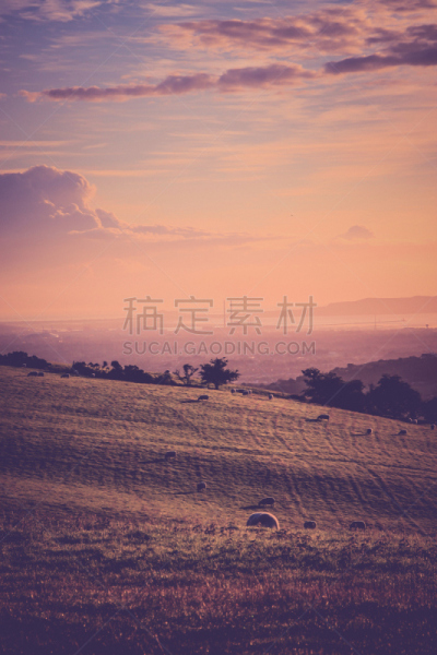 风景,城市,都柏林,威克洛山,爱尔兰都柏林,垂直画幅,爱尔兰共和国,无人,早晨,绵羊