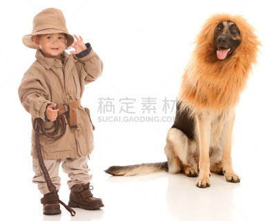 野生猫科动物,水平画幅,巨大的,白人,非裔美国人,男性,靴子,德国牧羊犬,狮子,男孩