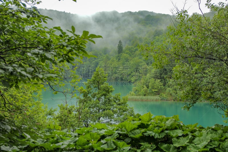 湖,山,雾,克罗地亚,青绿色,清水湖,一棵树,水,水平画幅,高视角