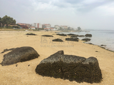 海滩,雾,家畜,米娜,比拉诺瓦德绍,加利西亚,水,天空,水平画幅,沙子