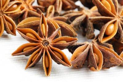茴芹,星星,芳香的,水平画幅,干花,干的,草,泰国,烹调,闻