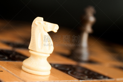 墨索里尼的秘密恋人,里贾纳市,車,卒子,棋盘,国际象棋,水平画幅,无人,骑士,策略