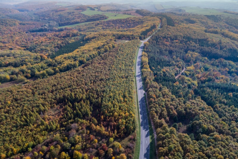 road through the autumn forest