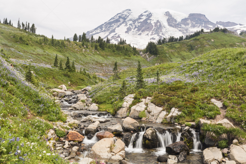 edith creek,雷尼尔雪山,漫涛瀑布,皮尔斯县,旱獭,雨山国家公园,卡斯基德山脉,水,国家公园,水平画幅