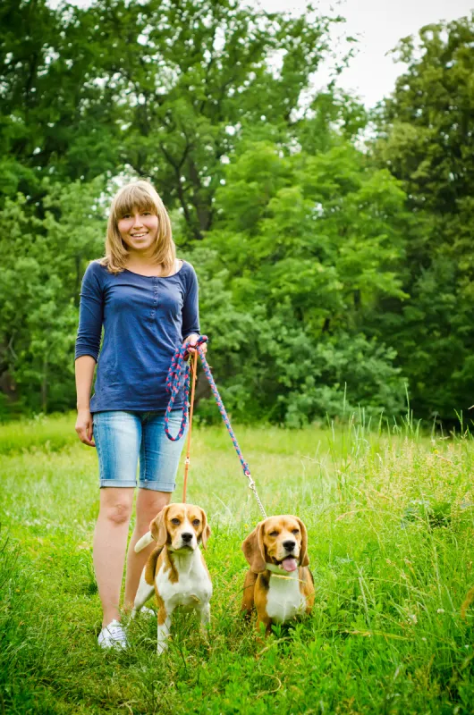 比格犬 女人 垂直画幅 美 公园 美人 夏天 户外 草 友谊图片素材下载 稿定素材