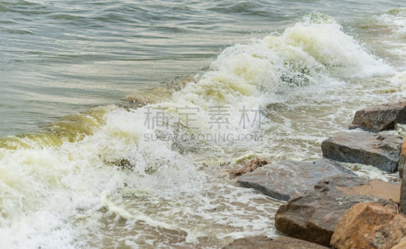 赤潮,海洋,浮游生物繁殖,全高清格式,浮游生物,水,美,水平画幅,睡莲,沙子