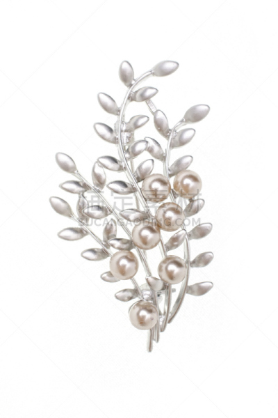 胸针,分离着色,嫩枝,银,白色,珍珠牡蛎,个人随身用品,垂直画幅,美,宝石
