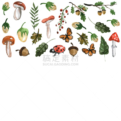 叶子,蘑菇,植物群,森林,边框,无人,符号,夏天,户外,橡树林地