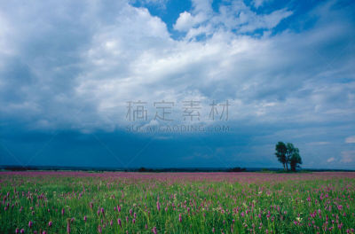 草原,乌云,自然,暴风雨,水平画幅,地形,无人,夏天,户外,野生植物