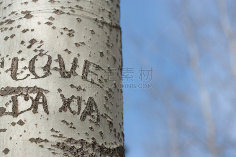 树干,单词,雕刻图像,天空,字母,水平画幅,蓝色,记忆,摄影,爱