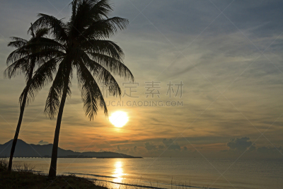 早晨,水,天空,沙子,夏天,棕榈树,海浪,海滩,热带气候,松科